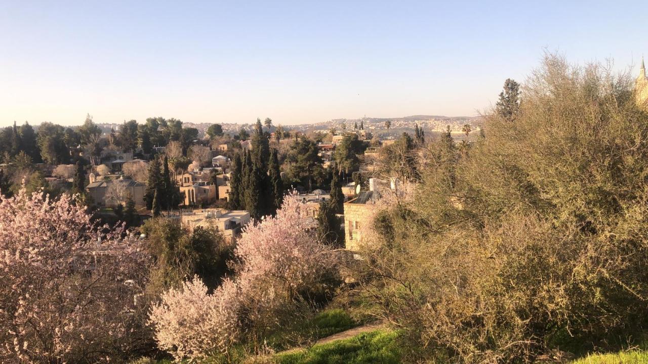 예루살렘 Sweet 'En Kerem View B&B 외부 사진