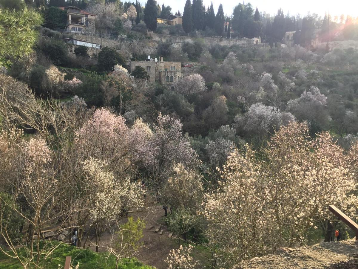 예루살렘 Sweet 'En Kerem View B&B 외부 사진